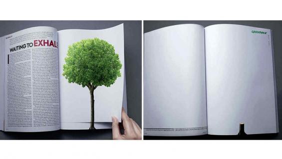 ecologia ecologia